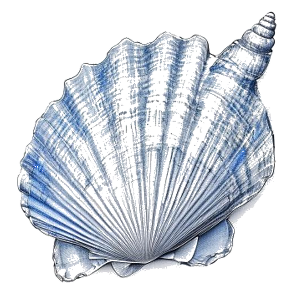Blue sketch illustration of Cockle