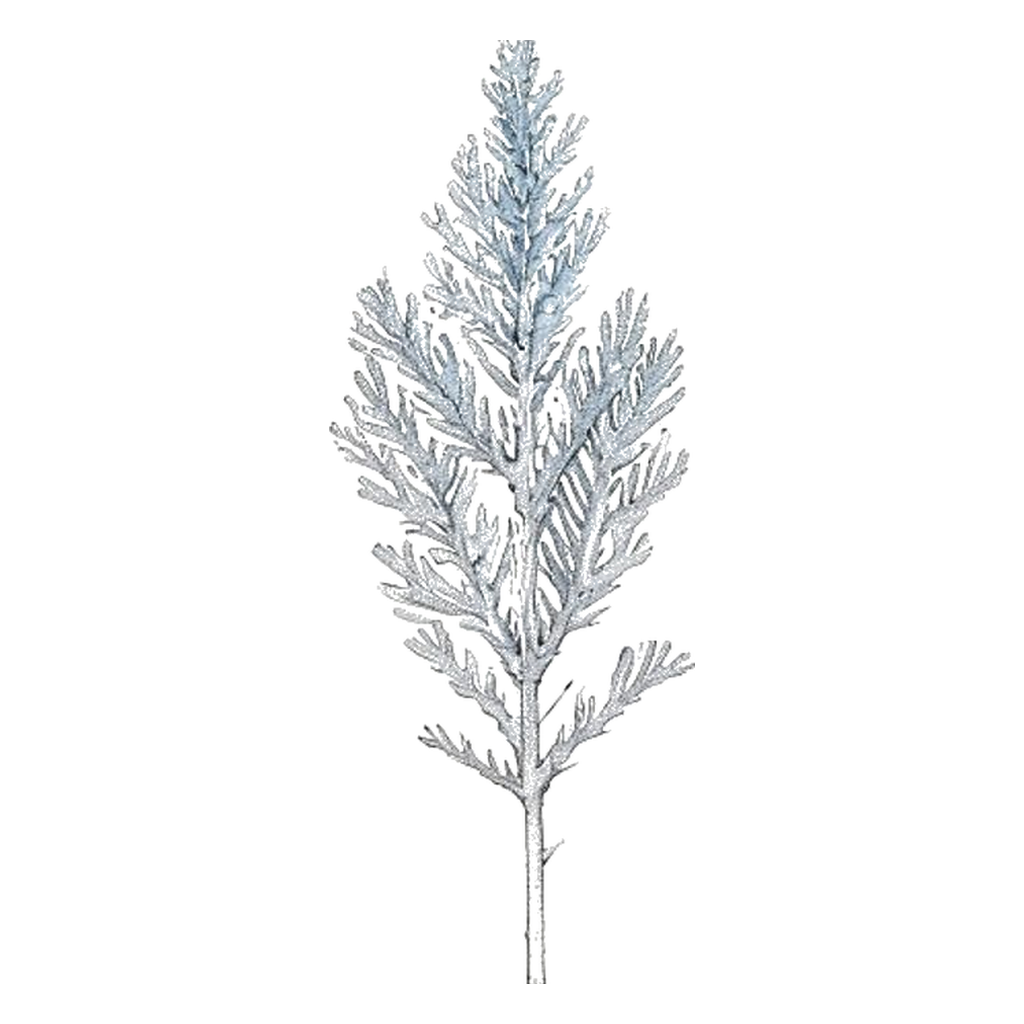 Blue sketch illustration of Sea pen