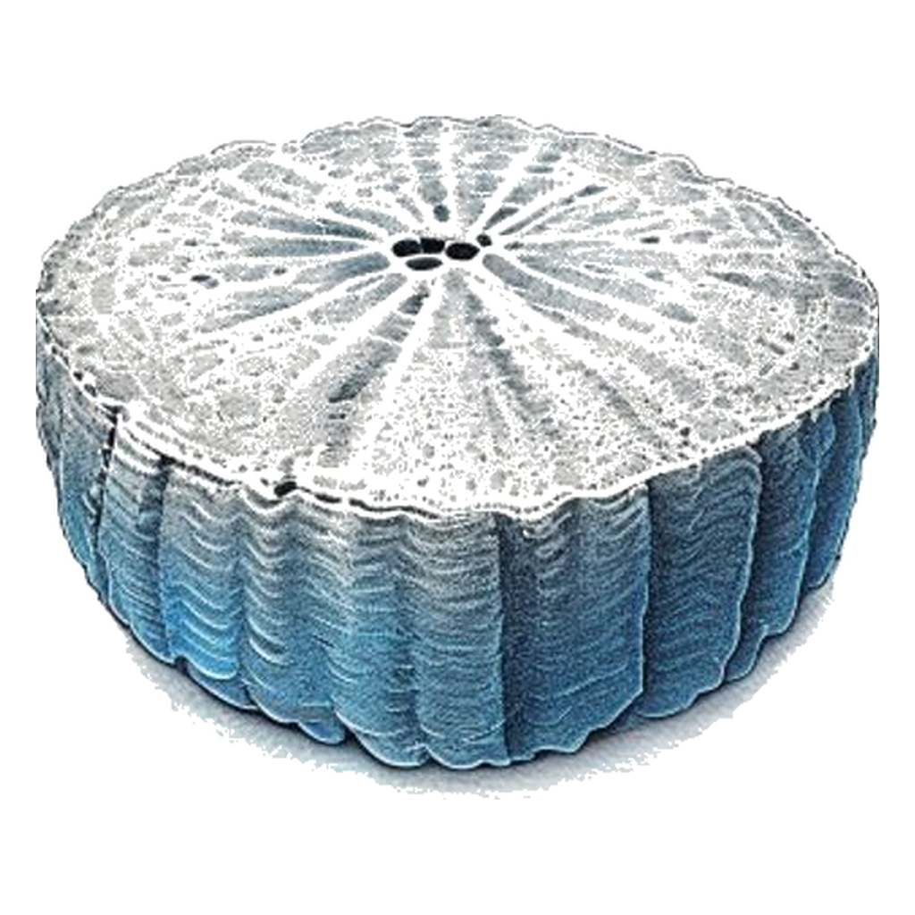 Blue sketch illustration of Sponge