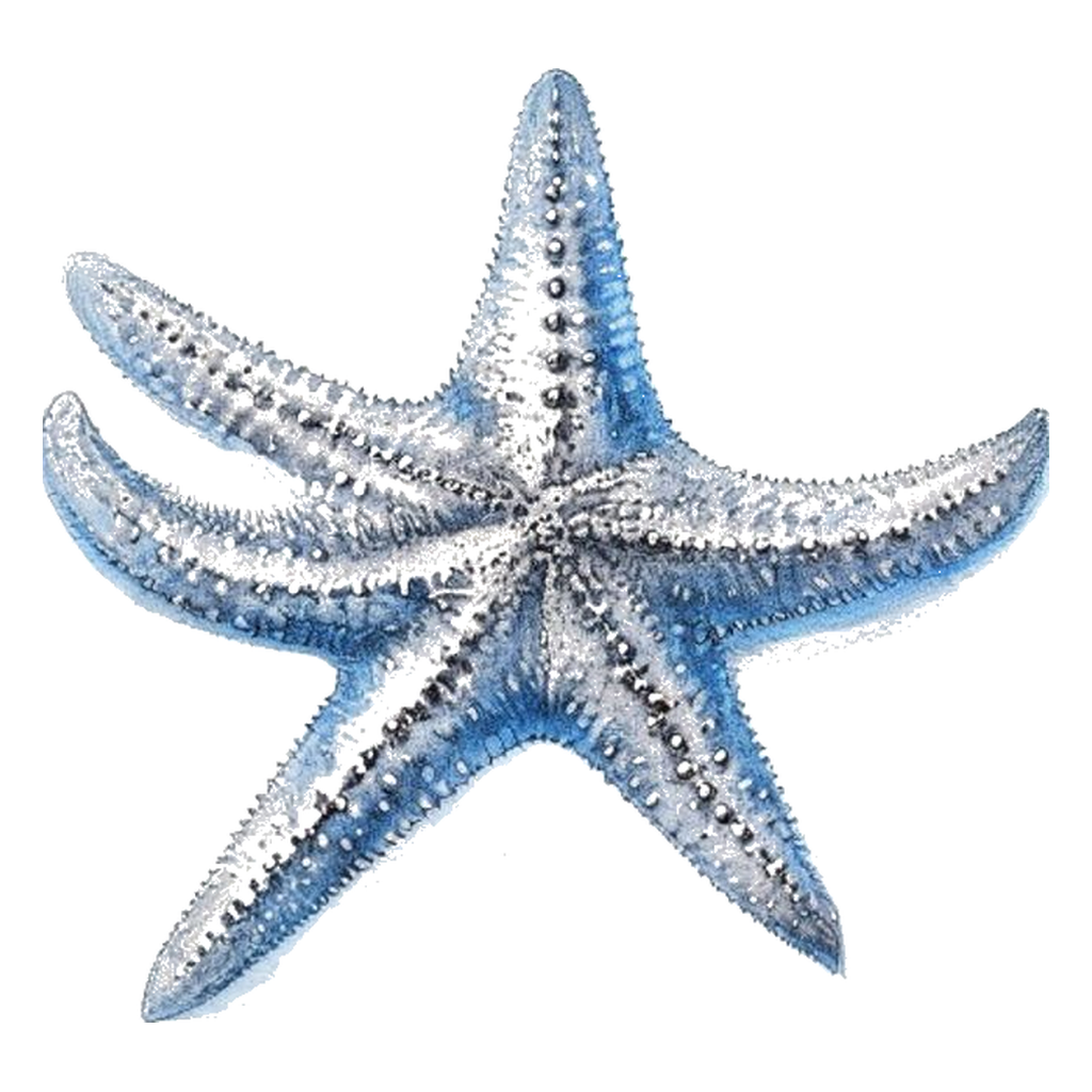 Blue sketch illustration of Starfish